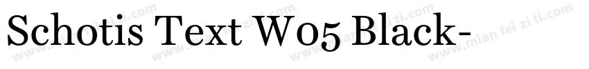 Schotis Text W05 Black字体转换